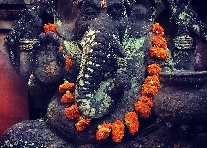 Nikuna *